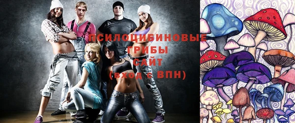 ECSTASY Бронницы
