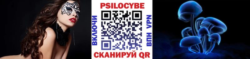 цена   Зубцов  Псилоцибиновые грибы Psilocybine cubensis 